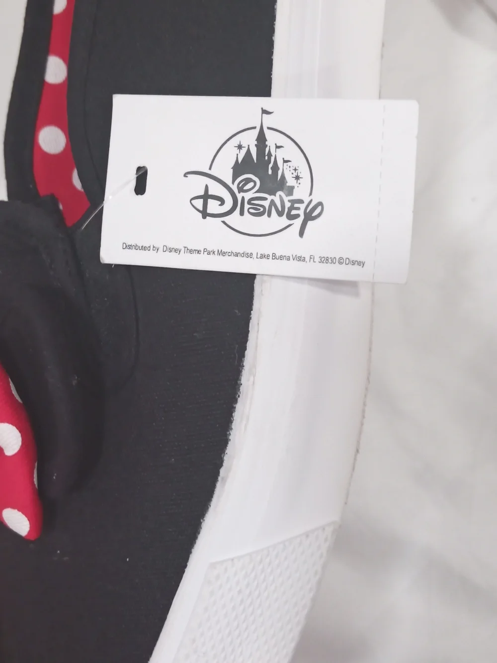 Disney description these